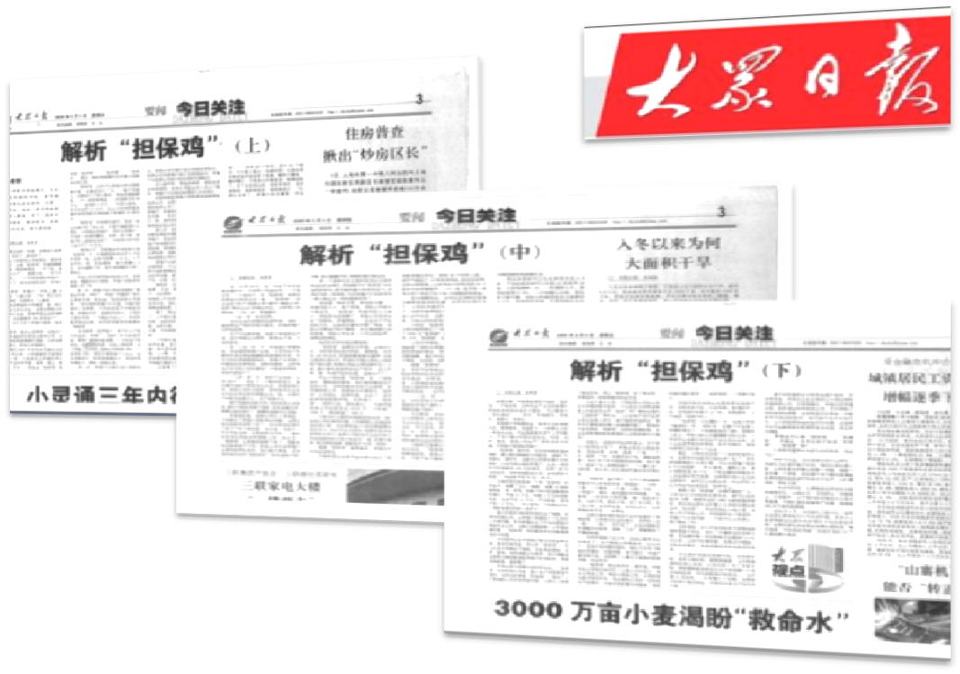 2009年2月4、5、6日，大众日报连载“解析担保鸡”。文章中肯定了普惠担保业务模式，称只有传统农业和现代金融相结合，才能得到脱胎换骨的改造，才能成长为生机勃勃的现代农业。