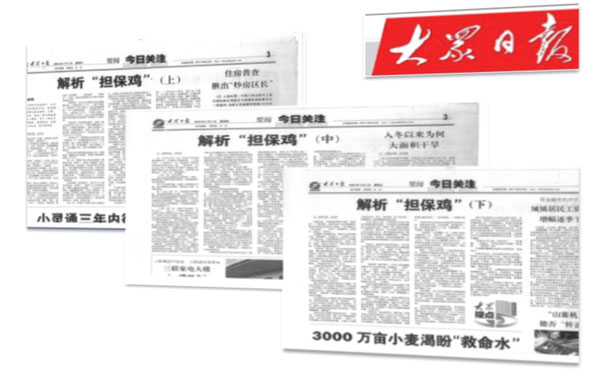 2009年2月4、5、6日大众日报连载“解析担保鸡”。文章中肯定了普惠担保业务模式，称只有传统农业和现代金融结合在一起，才能得到脱胎换骨的改造，才能成长为生机勃勃的现代农业。